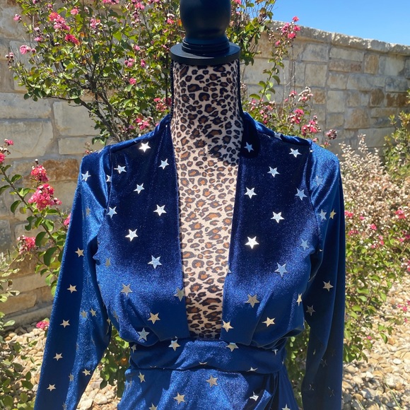 Blue velvet, silver star super plunge party dress! - Picture 4 of 4